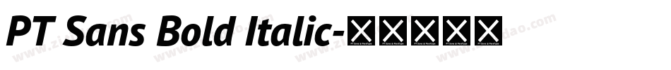 PT Sans Bold Italic字体转换